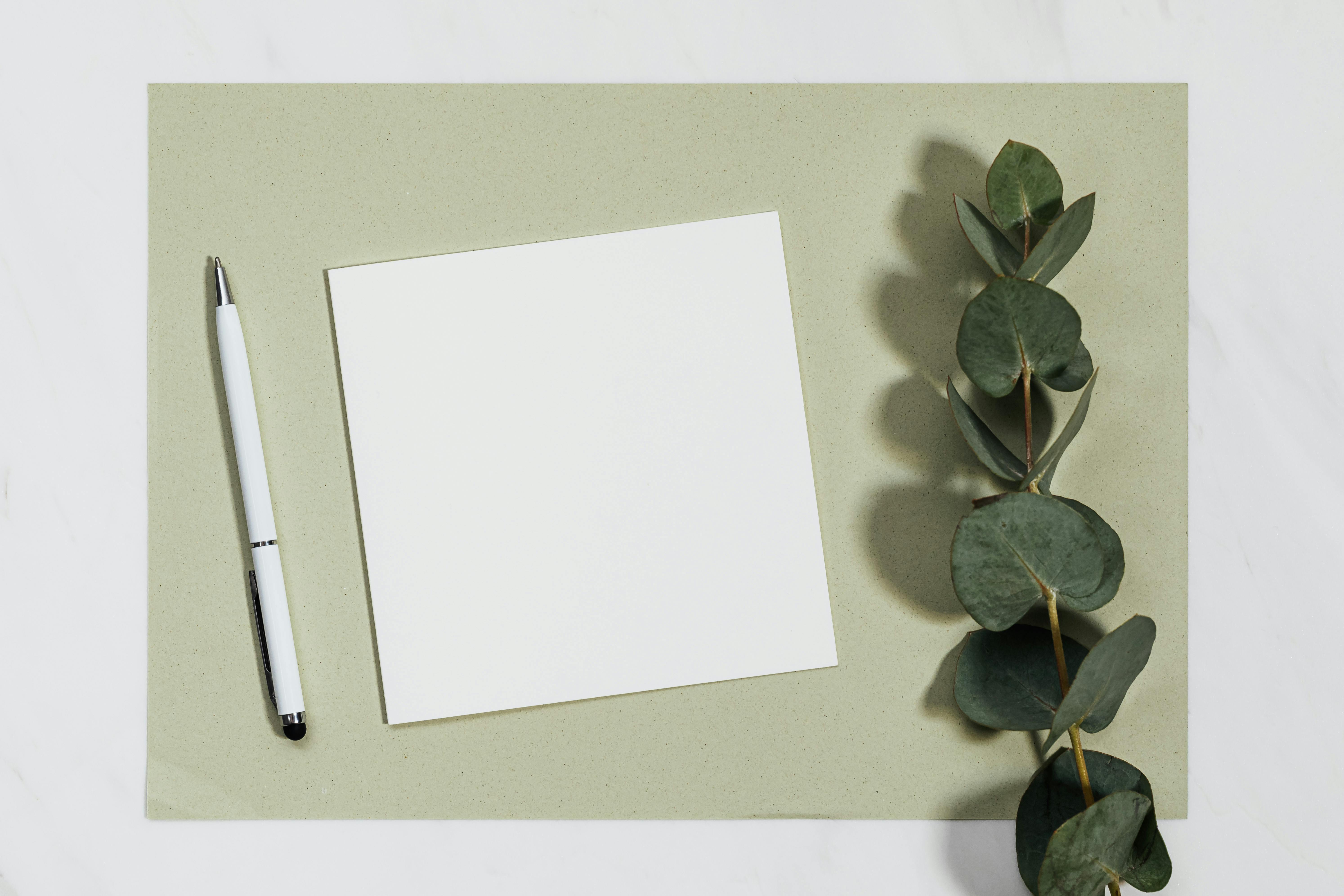 A top-down view of a blank white note, eucalyptus branch, and pen on a green surface.