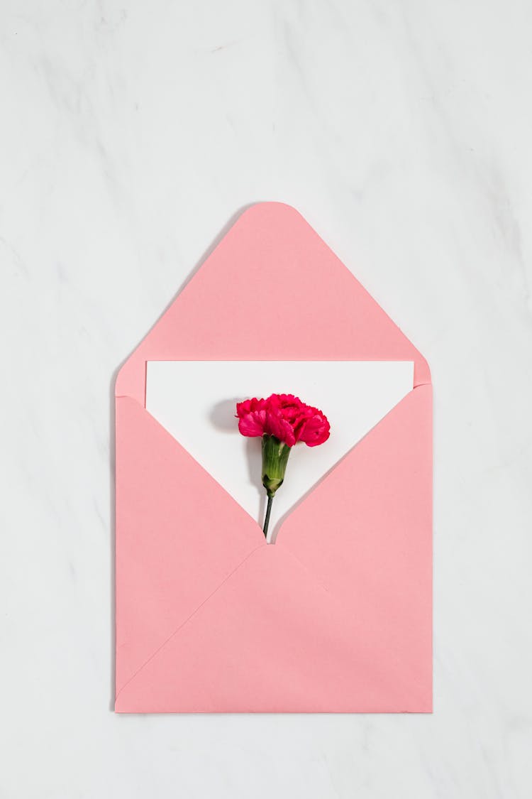 Photo Of A Flower Inside A Pink Envelope