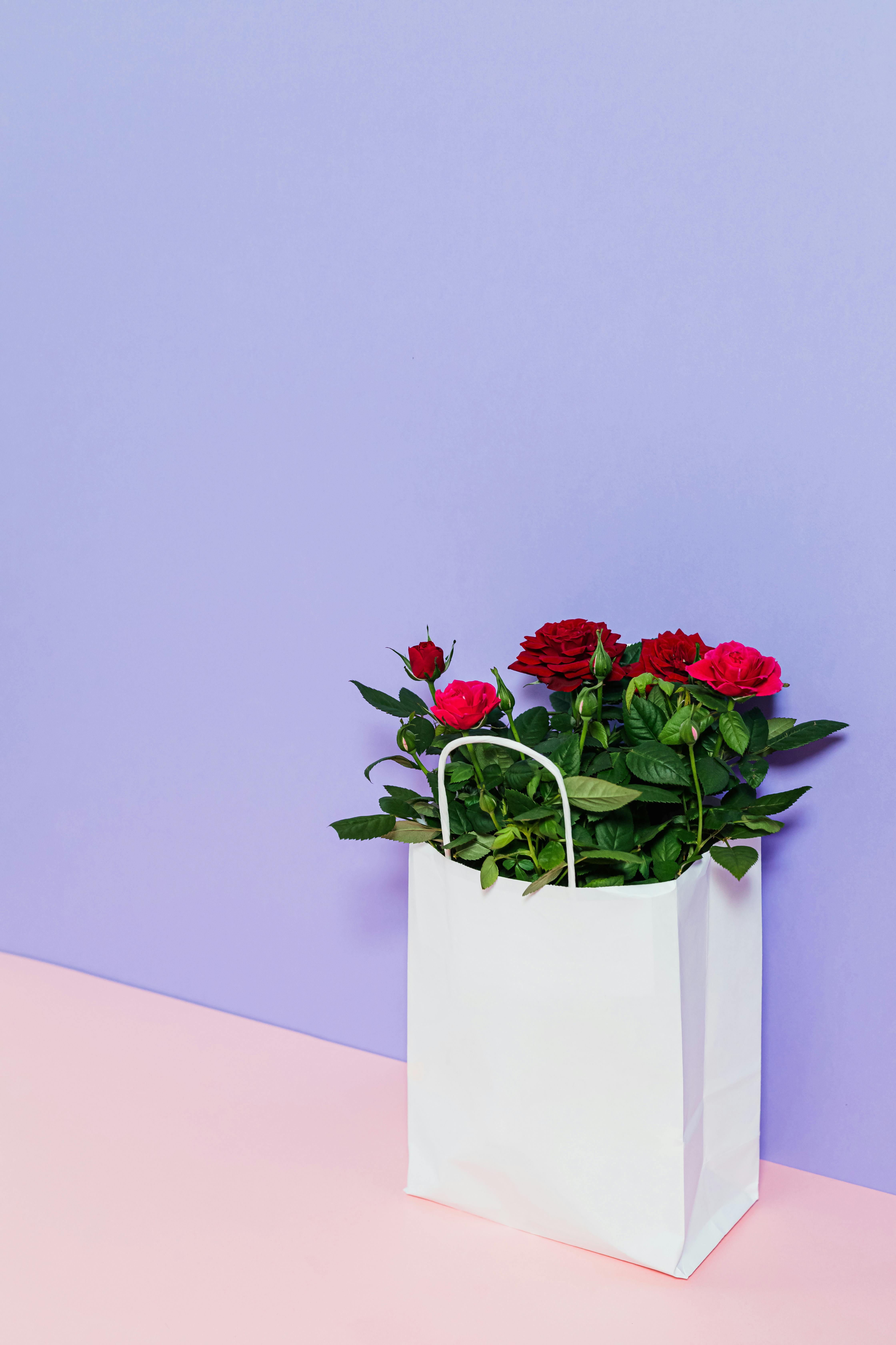 A white shopping bag with blooming red roses against a pastel purple and pink backdrop.