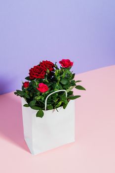 在柔和的背景下，将充满活力的红玫瑰时尚地放入白色纸质礼品袋中