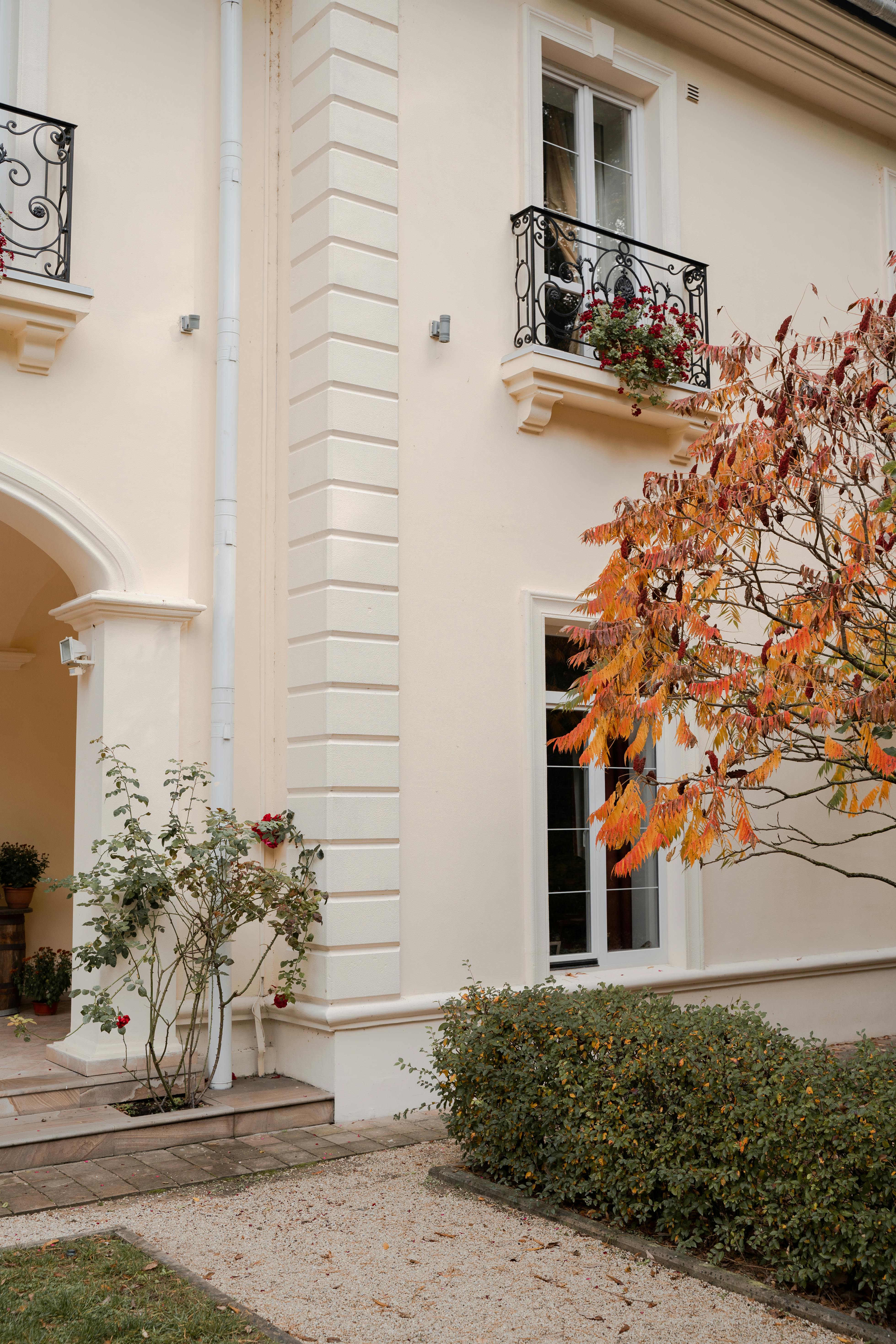 Which one is better morning walk or evening walk?