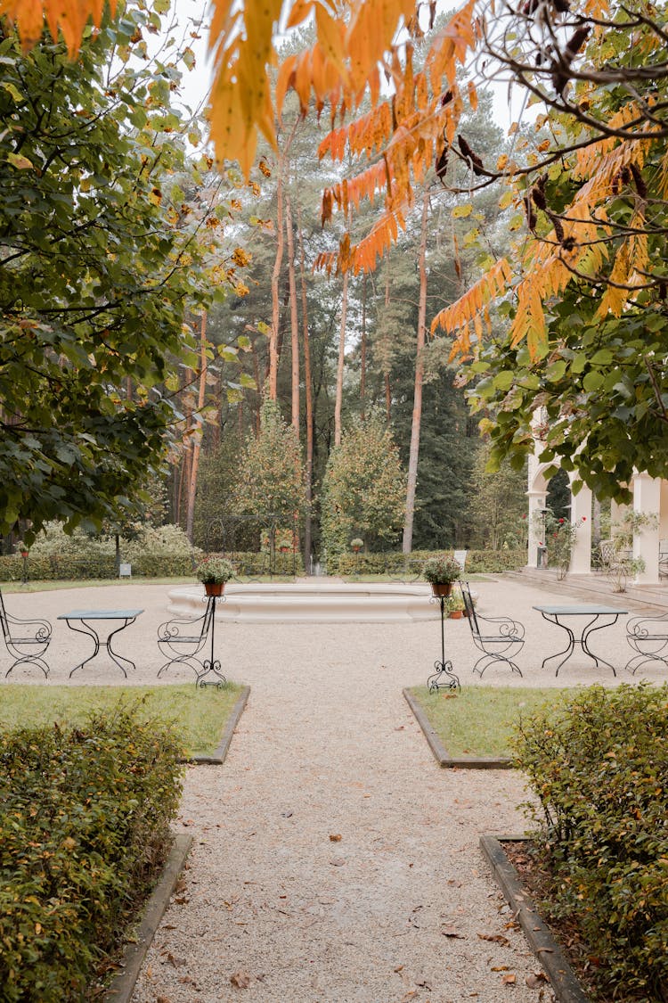 An Empty Park Surrounded With Trees