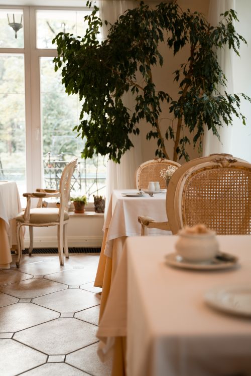 Free Cozy dining area with elegant furniture and natural light from large windows. Stock Photo