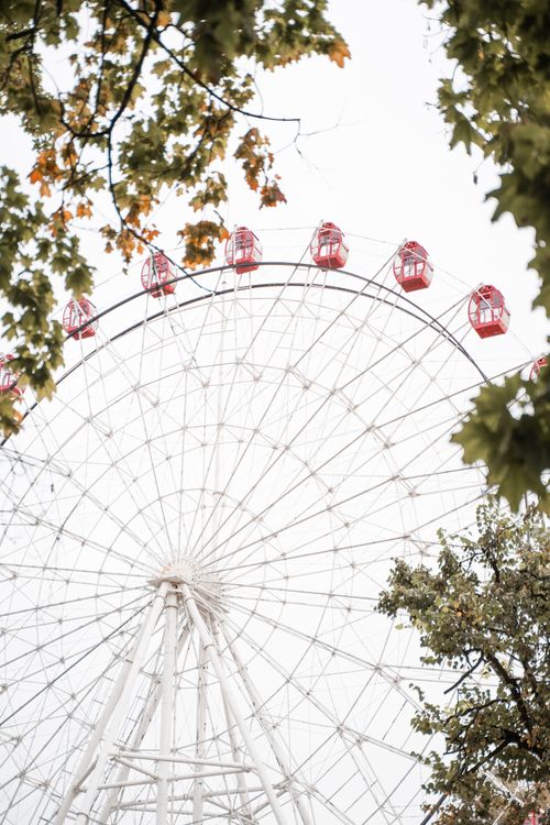 Free A large Ferris wheel surrounded by autumn leaves set against a white sky, creating a serene feel. Stock Photo