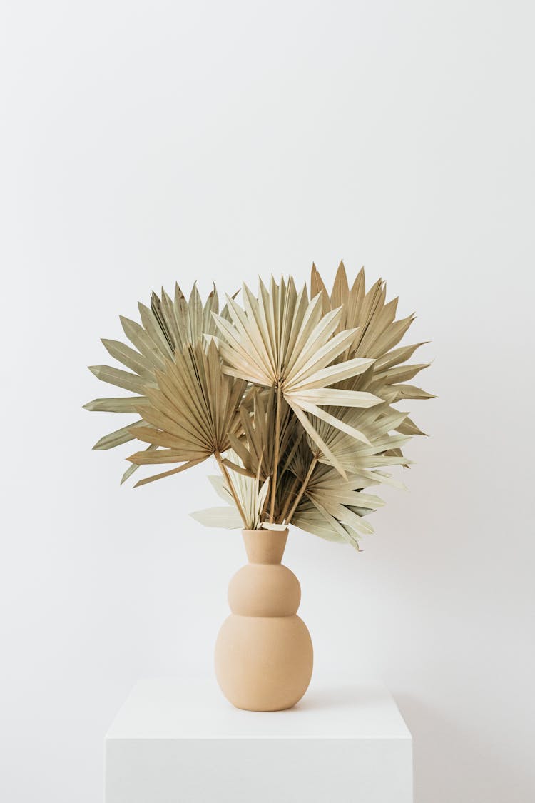 Dried Fan Plant In A Vase 