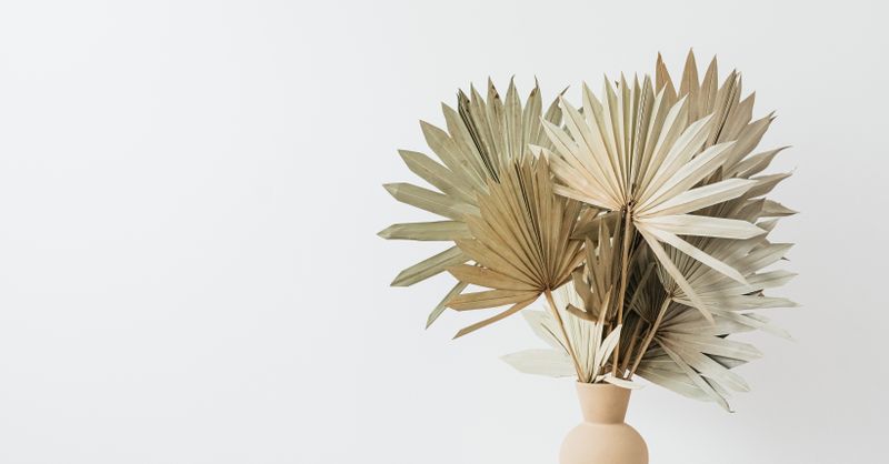 Vert Sauge : Déco Tendance 2026