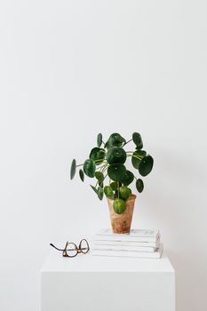 一幅极简派静物画中，一棵皮拉植物被栽在陶罐里，陶罐放在一本戴着眼镜的书籍上，书籍则置于一张白色桌子上
