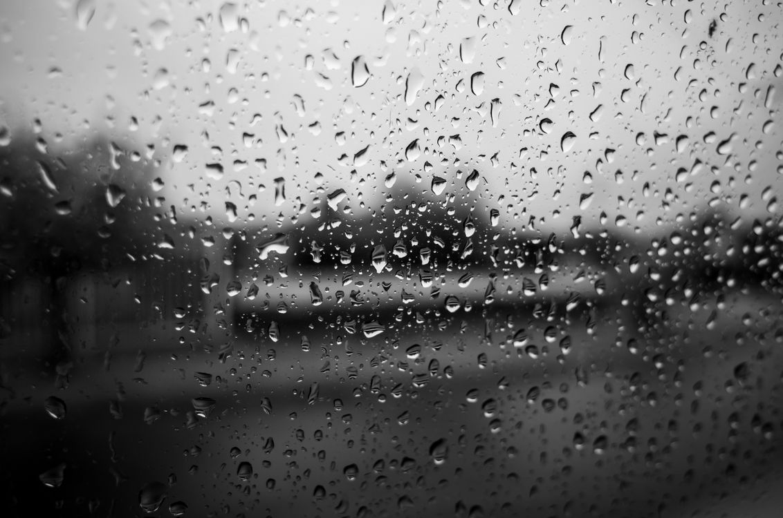 10+ Best Drizzle Photos · 100% Free Download · Pexels Stock Photos