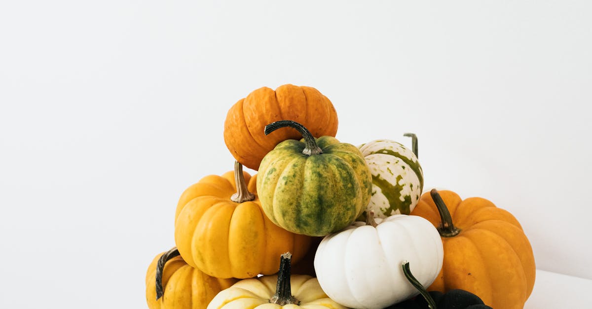 How to fry squash without cornmeal