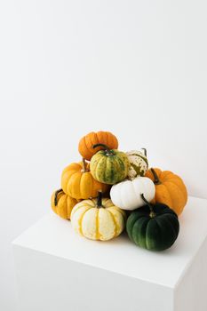 柔和的灯光独特地照亮了充满活力的南瓜和葫芦，展现出秋季装饰的特色