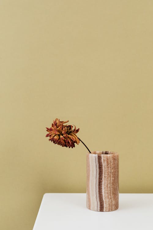 Dry Flower in a Vase