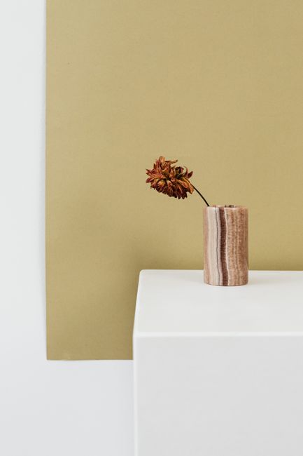 A minimalist composition featuring a dried flower in a striped vase against a neutral background.