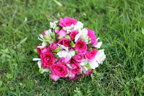 Free Bouquet of Pink Roses on Green Grass Stock Photo
