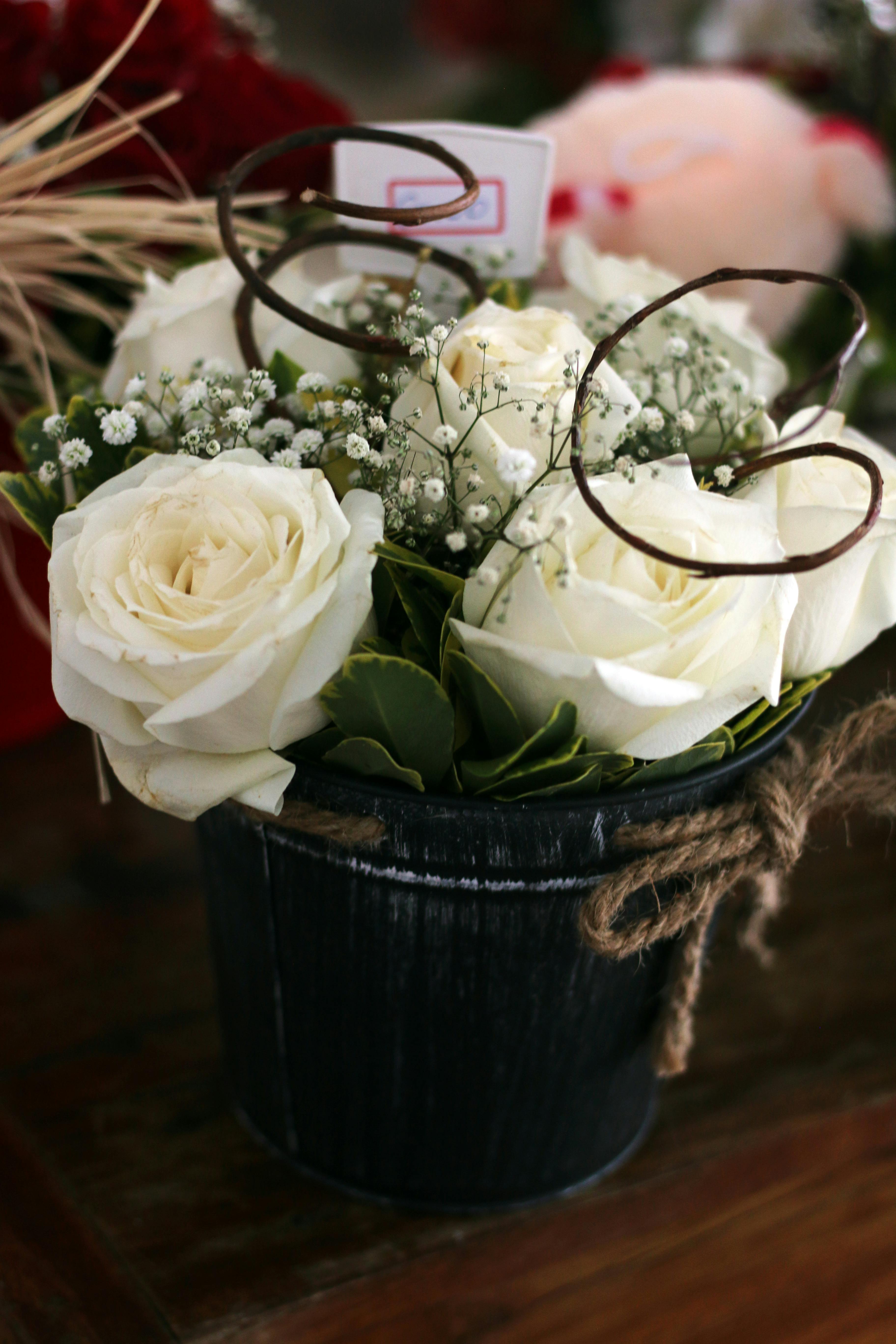 Rose Bucket Photos, Download The BEST Free Rose Bucket Stock Photos