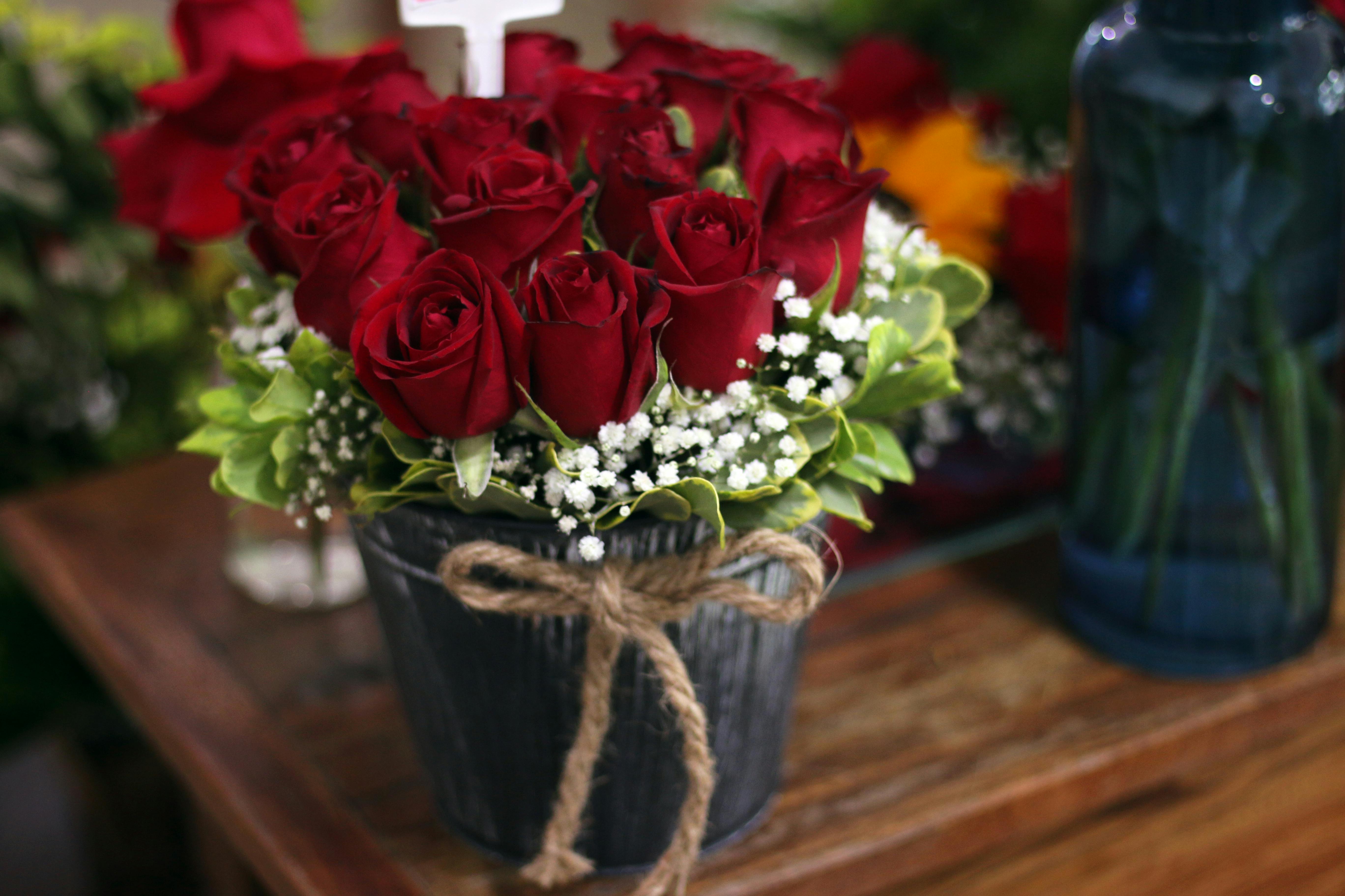 Rose Bucket Photos, Download The BEST Free Rose Bucket Stock Photos