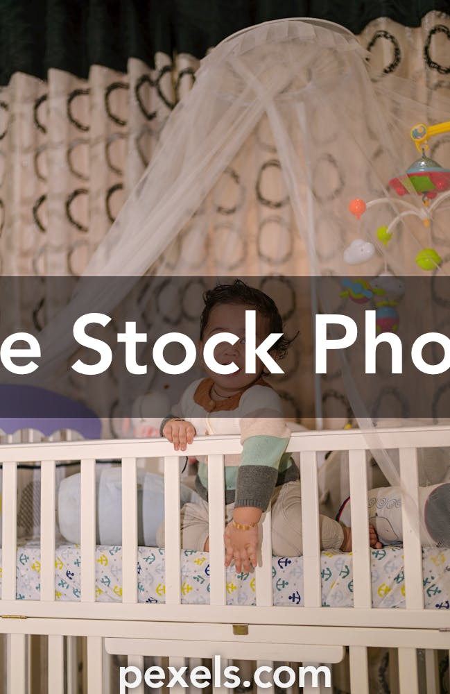 2,700+ Mosquito Netting Stock Photos, Pictures & Royalty-Free