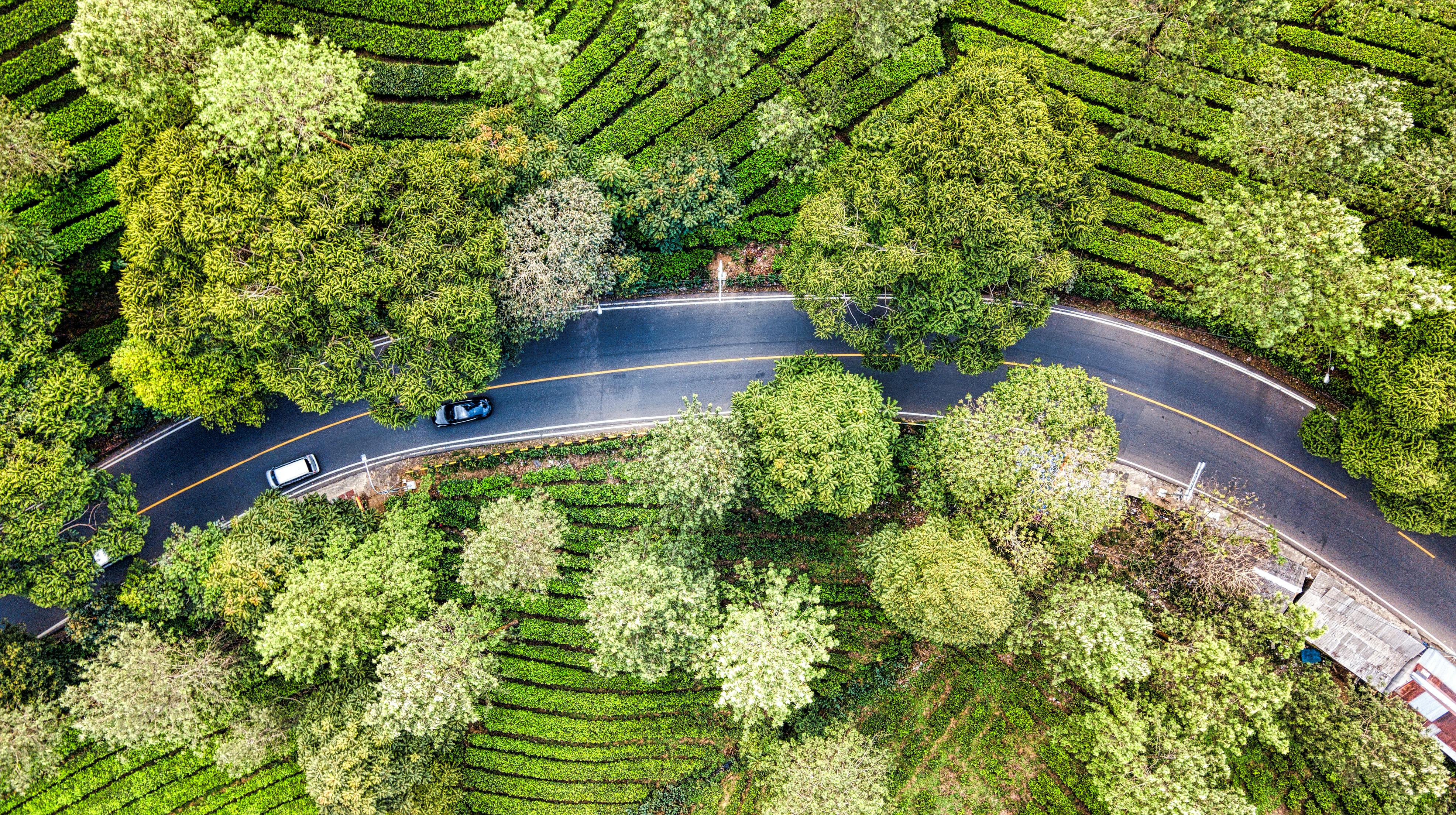 evs explained green transportation — Photo by Tom Fisk on Pexels