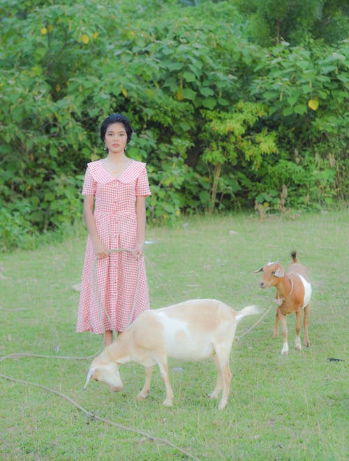 Woman in Pink and White Dress Grazing Two Goats 