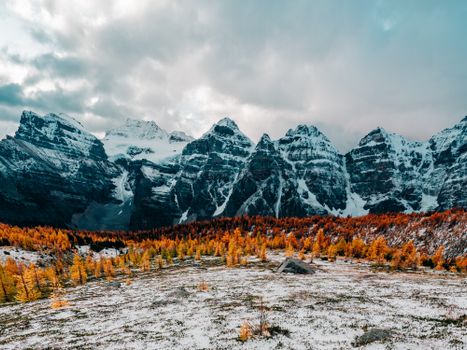 Stunning view of snow-covered mountains and vibrant autumn forest under a cloudy sky.