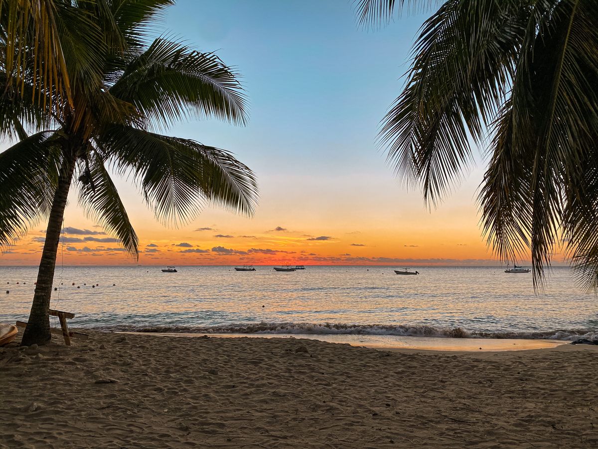 Tropical sunset with palm trees and boats on the horizon