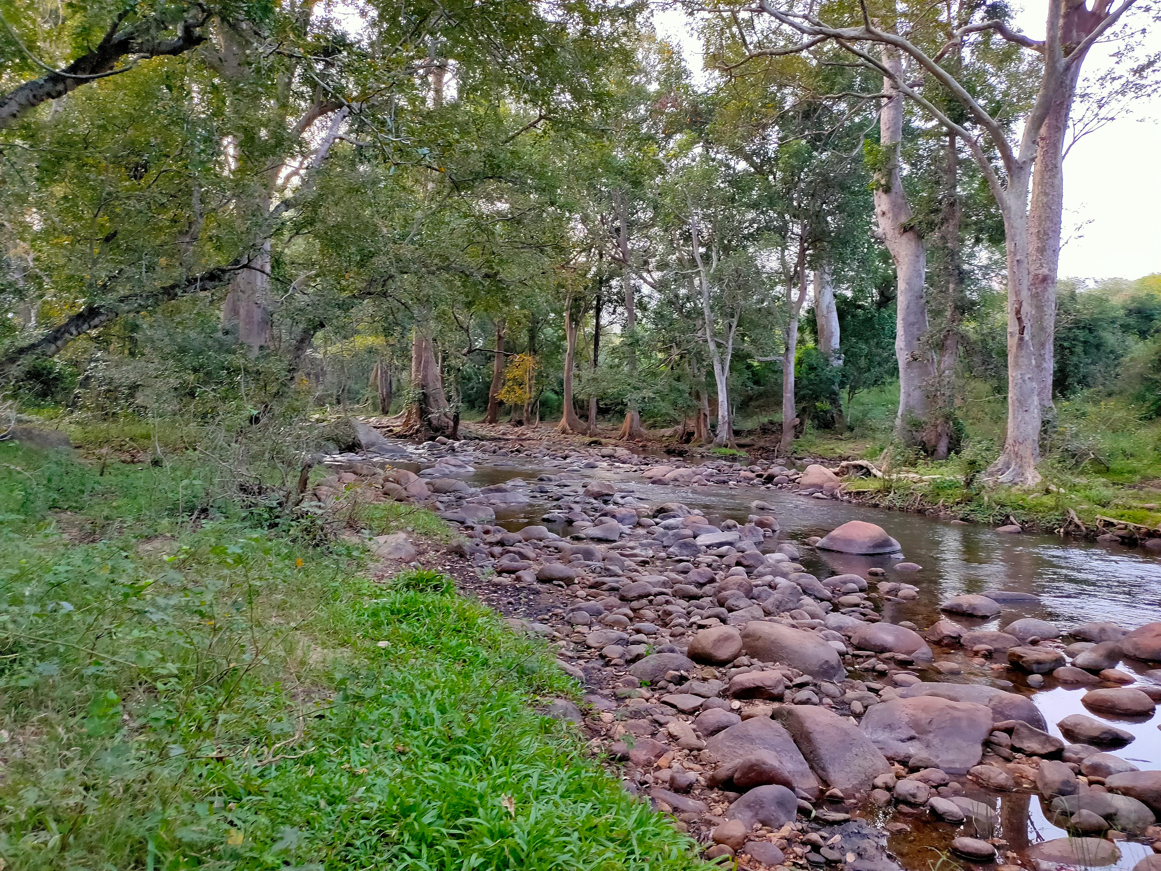 Caring for Queer Bodies: A Guide to LGBTQ+ Sexual Health cover image