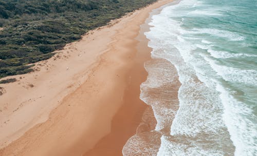 Breathtaking aerial view of powerful ocean with foamy waves washing empty wide sandy beach surrounded by lush foliage