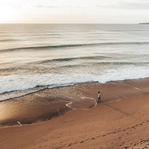 Anonymous traveler relaxing on sandy seashore at sundown