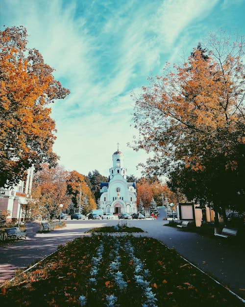 Photograph of a Church Near Trees 