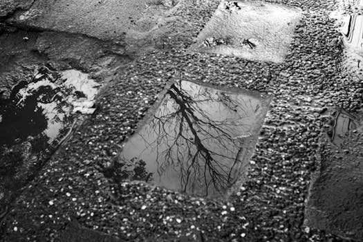 Black and white high angle of wet asphalt road with holes with puddles with reflections of trees and sky