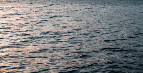 High angle of rippling surface of picturesque wavy sea reflecting sunlight at dusk