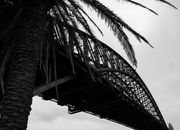 Modern massive arched bridge near palm on cloudy day