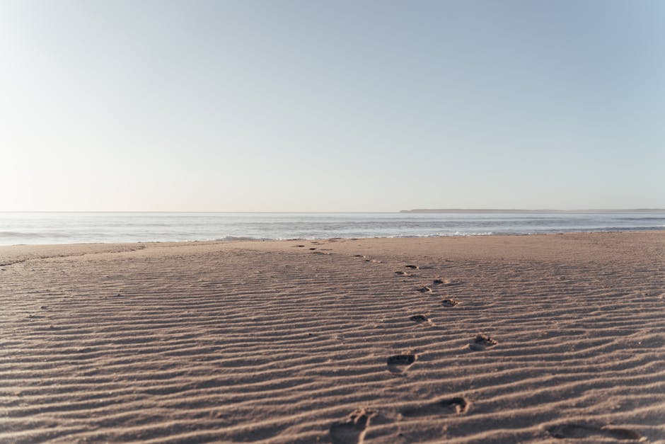 Carbon Footprint Reduction Initiatives