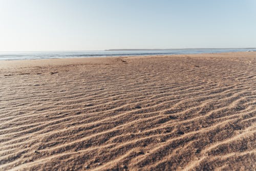 果てしない海の近くの静かな砂浜