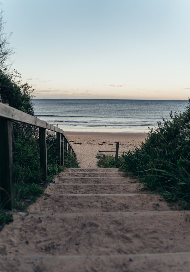 Stairs Of Beach With Green Lush Bushes