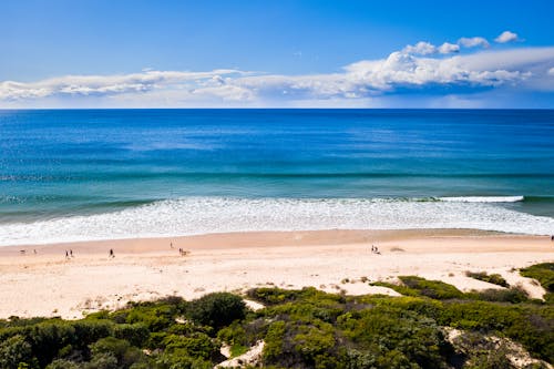 Drone view of distant travelers walking on sandy coast with tropical plants against azure sea and cloudy sky in nature