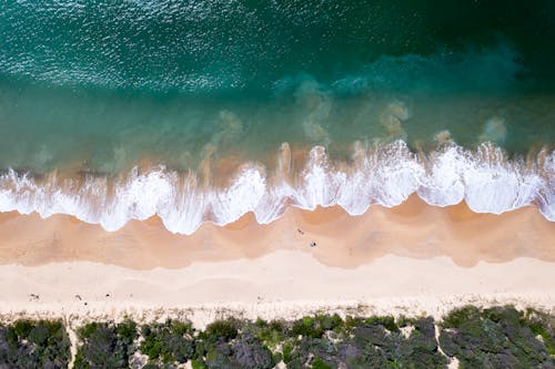 Top view of turquoise ocean with foamy waves washing sandy coastline near green forest in exotic country on summer day