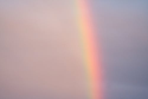 免费 自然无云的狡猾的彩虹 素材图片