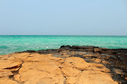 Tranquil view of Muscat's rocky shoreline meeting the calm turquoise sea under a clear sky.