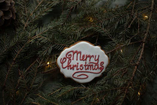 圣诞节那天，糖釉装饰的标题饼干美味地摆放在针叶树小枝和花环之间，从上方看去格外诱人