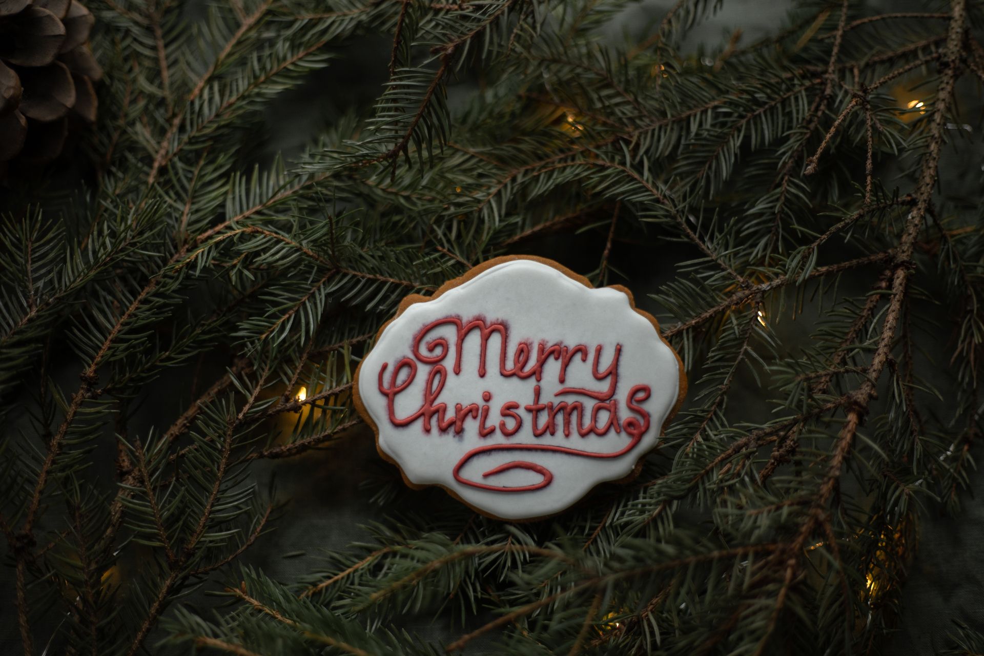 From above of delicious biscuit with decorative title on sugar glaze between coniferous tree sprigs with garland on Christmas Day