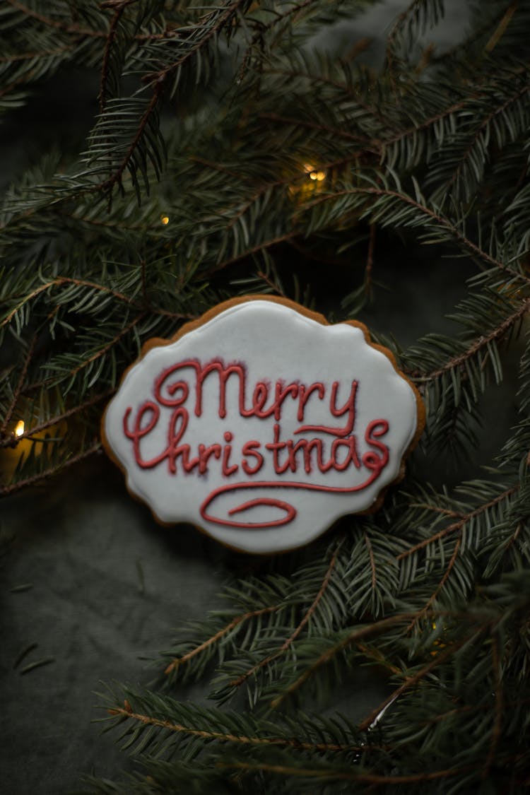 Biscuit With Merry Christmas Title On Spruce Sprigs