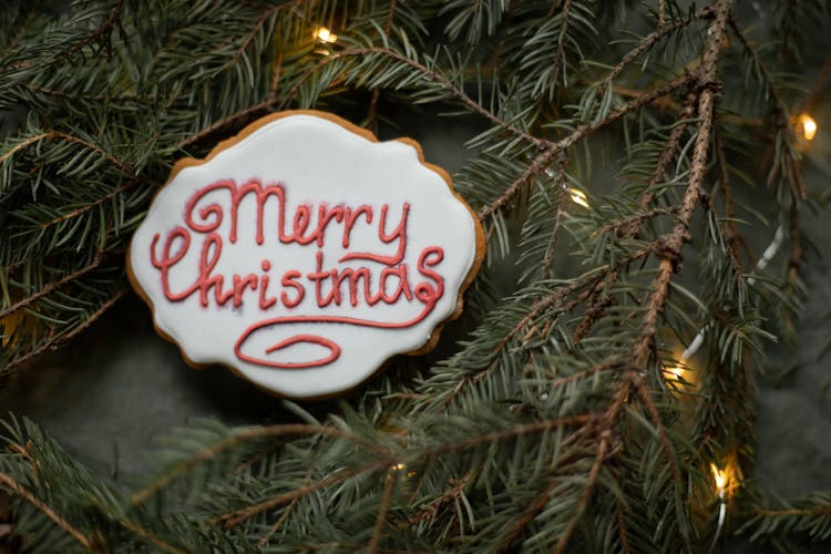 Tasty Biscuit With Merry Christmas Title On Fir Sprigs