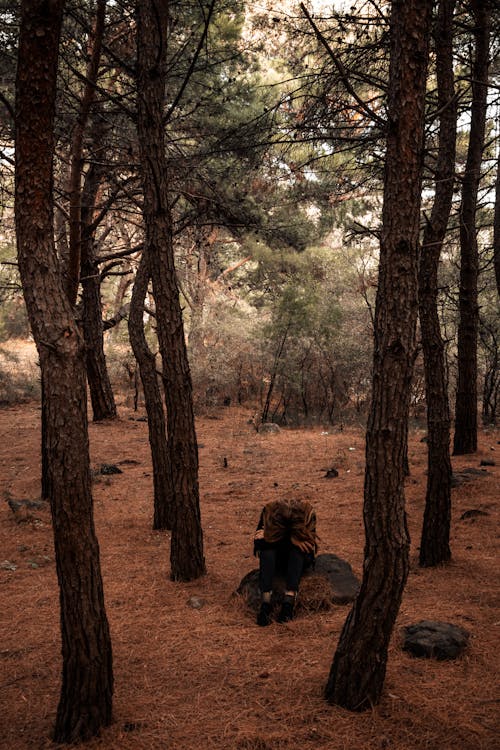 Woman in Black Jacket and Black Pants Sitting on Brown Dried Leaves Under Brown Trees during