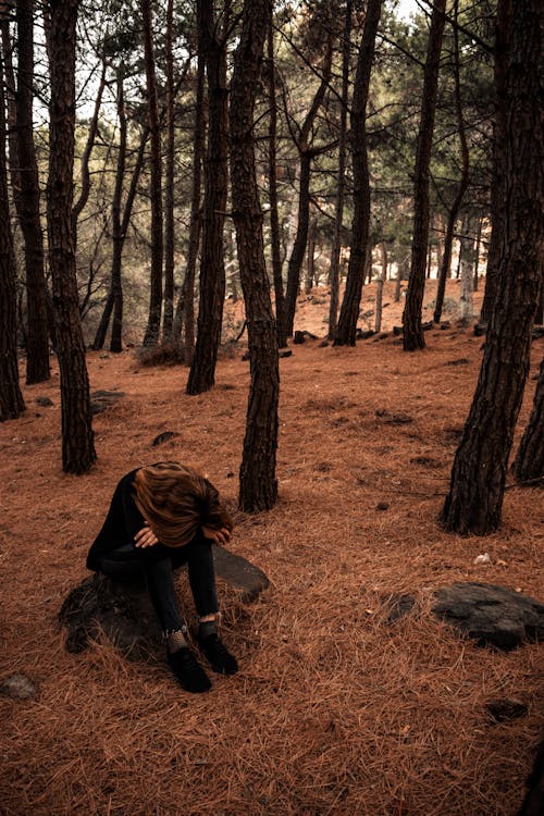 Free Photo of a Sad Woman Sitting on a Rock Near Trees Stock Photo
