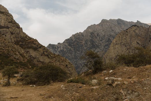 Image by Arina Krasnikova