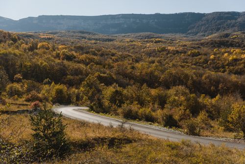 Free Scenic curved road winding through a vibrant autumn forest in rural countryside. Stock Photo