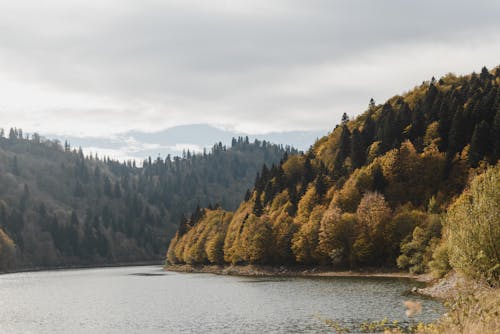 bezplatná Základová fotografie zdarma na téma dřevo, hora, jezero Základová fotografie