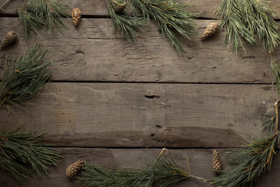 Is pine stronger than oak?