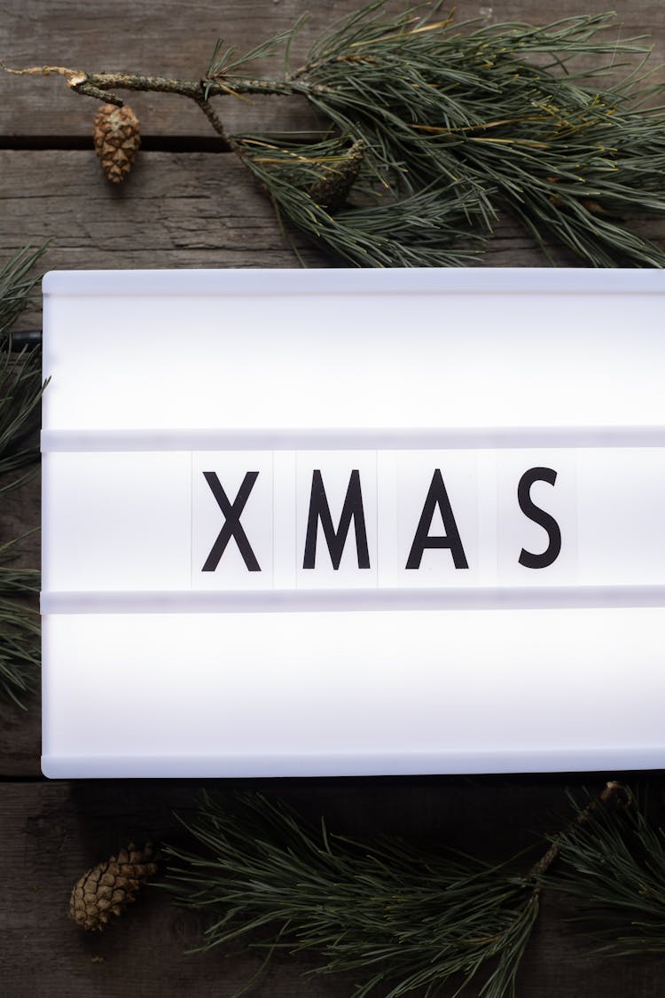 Christmas Composition Of Spruce Sprigs And Cones And Metal Plate With Sign Xmas