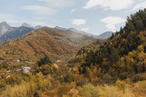 Árvores Verdes E Marrons Na Montanha Sob Nuvens Brancas